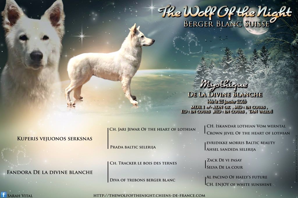 Mysthique de la divine blanche